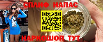 сатива Ирбит
