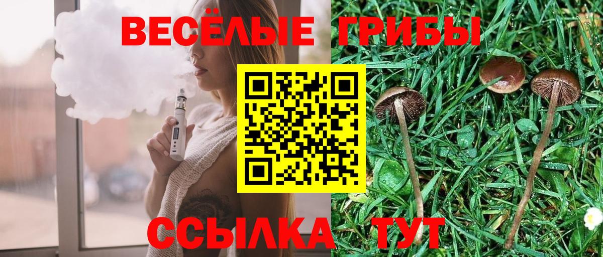 Псилоцибиновые грибы Magic Shrooms Озёрск